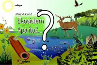 Pengertian Ekosistem : Macam Macam dan Komponen Komponennya