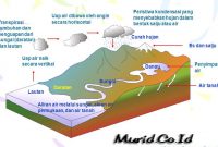 Apa Itu Siklus Hidrologi Apa Itu Siklus Hidrologi
