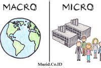 Perbedaan Ekonomi Mikro dan Ekonomi Makro beserta Contoh1