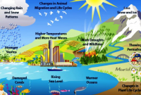 Penyebab Pemanasan Global, Pengertian, Dampak dan Solusi