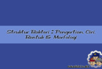 Struktur Bakteri Struktur Bakteri