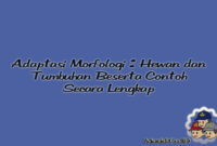 Adaptasi Morfologi : Hewan dan Tumbuhan Serta Contoh Adaptasi Morfologi : Hewan dan Tumbuhan Serta Contoh