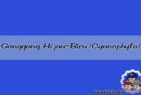 Ganggang Hijau-Biru (Cyanophyta) Ganggang Hijau-Biru (Cyanophyta)