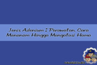 Jenis Adenium Perawatan, Cara Menanam Hingga Mengatasi Hama Jenis dan Cara Menanam Adenium Hingga Mengatasi Hama