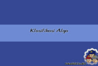 Klasifikasi Alga Klasifikasi Alga Secara Lengkap