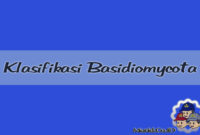 Klasifikasi Basidiomycota Klasifikasi Basidiomycota