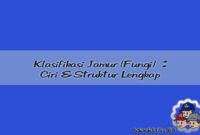 Klasifikasi Jamur (Fungi) Pengertian, Ciri, Struktur dan Cara Hidup Klasifikasi Jamur (Fungi) Pengertian, Ciri, Struktur dan Cara Hidup