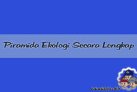 Piramida Ekologi Secara Lengkap Piramida Ekologi Secara Lengkap