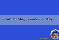 Protista Mirip Tumbuhan (Algae) Protista Mirip Tumbuhan (Algae)