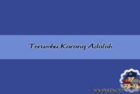 Terumbu karang adalah Terumbu karang adalah