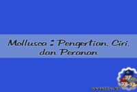Mollusca Pengertian, Ciri, Karakteristik dan Peranan Mollusca Pengertian, Ciri, Karakteristik dan Peranan
