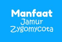 Manfaat Zygomycota Manfaat Zygomycota