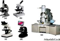 Bagian Bagian Mikroskop Bagian Bagian Mikroskop