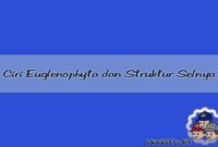 Ciri Euglenophyta dan Struktur Selnya Ciri Euglenophyta dan Struktur Selnya