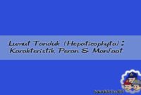 Karakteristik Lumut Tanduk (Hepaticophyta) Karakteristik Lumut Tanduk (Hepaticophyta)