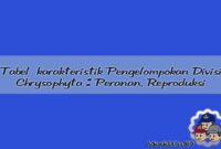 Reproduksi Chrysophyta Reproduksi Chrysophyta