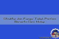 Struktur dan Fungsi Tubuh Porifera Struktur dan Fungsi Tubuh Porifera