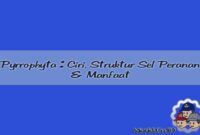 manfaat pyrrophyta manfaat pyrrophyta