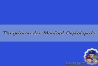 Penyebaran dan Manfaat Cephalopoda